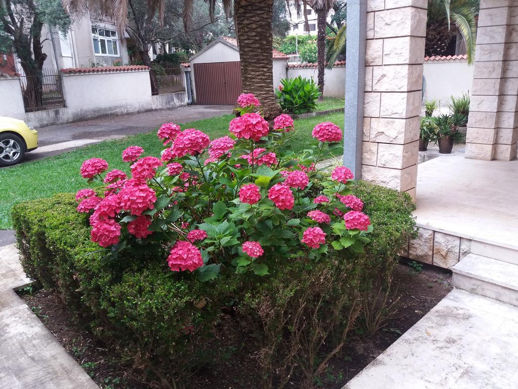 Bravo Apartmani Budva Exterior photo